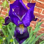 Lee Batey - @lee.batey - Instagram