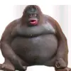 chlo - @chloe_lee_battle - TikTok