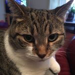Lee Baumgardner - @lee_7184 - Instagram