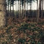 Lee Beardsley - @bulk66 - Instagram