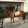 Lee Beatty - @lee.beatty - TikTok