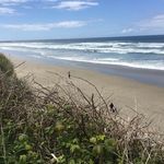 Donna Lee Beauchamp - @westcoastdonna - Instagram