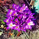 Lee Beavers - @sorinoeggzi8 - Instagram