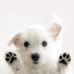Lee Beckman - Facebook