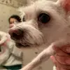 leeney_beeney - @leeney_beeney - TikTok