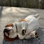 Lee Behr - @onlinefindsbyleah - Instagram