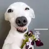 Robyn Lee Behr - @robyn.lee.behr - TikTok