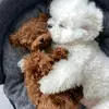 Lee Bell - @lee.bell924 - TikTok