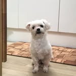 이베리 - @lee_bell_e - Instagram