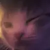 Lee Bene - @lee.bene4 - TikTok