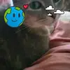 Lee Bennett - @lee.bennett92 - TikTok