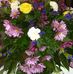Lee Berge - Facebook