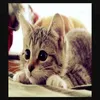 Aleeyah Bergeron - @aleeyahbergeron - TikTok
