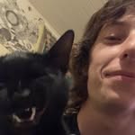 Lee Bergeron - @leesus_son_of_dog - Instagram