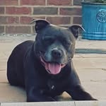 Lee Bergin - @lee.j.b71 - Instagram