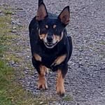 Lee Bergin - @lee.bergin.585 - Instagram