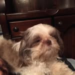 Brenda Lee Branch-berglund - @brendaberglund - Instagram