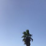 Lee - @lee_bergman1234 - Instagram