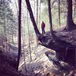Lee Bergstrom - @lee.bergstrom.18 - Instagram