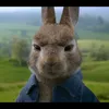 BERK LEE - @berk.lee5 - TikTok