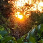 Lee Berkobien - @leeberkobien - Instagram
