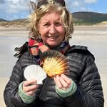 Lee Goodwin - @leeberkeley - Instagram
