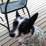 Lee Bernhardt - @leebernhardt - Instagram