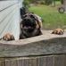 Lee Bernstone - Facebook