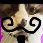 leebert - @leebert - Instagram