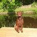 Lee Bickerstaffe - Facebook