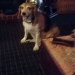 Lee Binney - @leebinney - Instagram