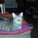 Lee Binney - @lbinney13 - Instagram