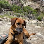 Lee - @leeblasertag - Instagram