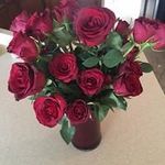 Lee Blatt - @blattlee - Instagram