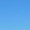 Lee_bloomfield12 - @lee_bloomfield1 - TikTok