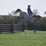 Lee bloomfield - @leebloomfield_eventing - Instagram