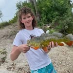 Lee Bloomfield - @lee.bloomfield.77 - Instagram