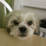 Lee Bloomfield - @lmonkeyshead - Instagram