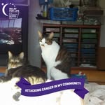 Geneva Lee Blumenthal - @genevablumenthal - Instagram