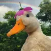 Leesa Boatner - @leesa.boatner - TikTok