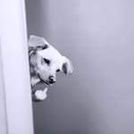 Bobby哔哔哔 - @leebobbyyy - Instagram