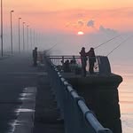 Lee Bolan - @bolanl - Instagram