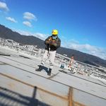 Lee Boles Gamefowl - @bolesgamefowl - Instagram