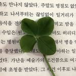 @lee.bookmark - Instagram