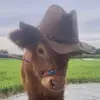 Lee - @leesbooks - TikTok