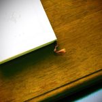 leebooks - @lee_books_ - Instagram