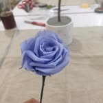 Borah Lee - @leeborah - Instagram