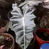 farmlover - @leeborges12 - TikTok