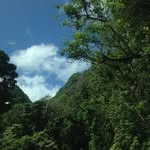 Bronson - @bronson_lee_ - Instagram