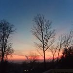 Austin lee botts - @bottsy599 - Instagram